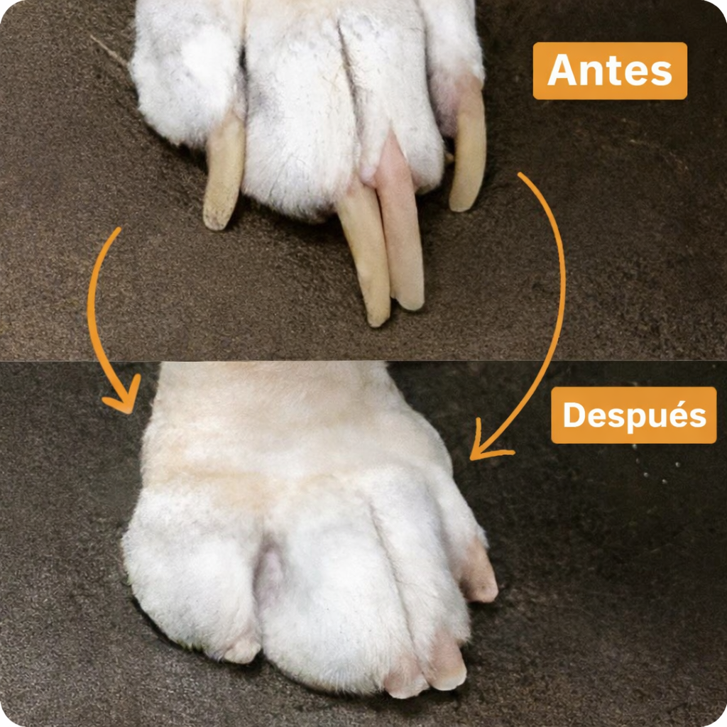 PawZo™ Pulidor Profesional Sin Estrés