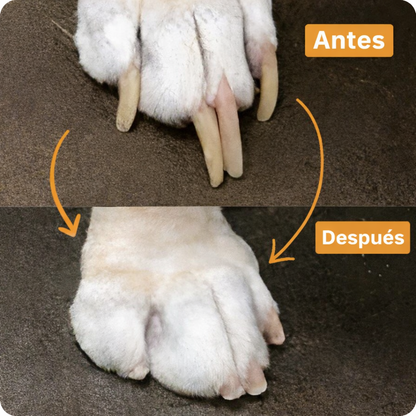 PawZo™ Pulidor Profesional Sin Estrés
