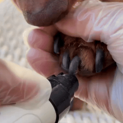 PawZo™ Pulidor Profesional Sin Estrés